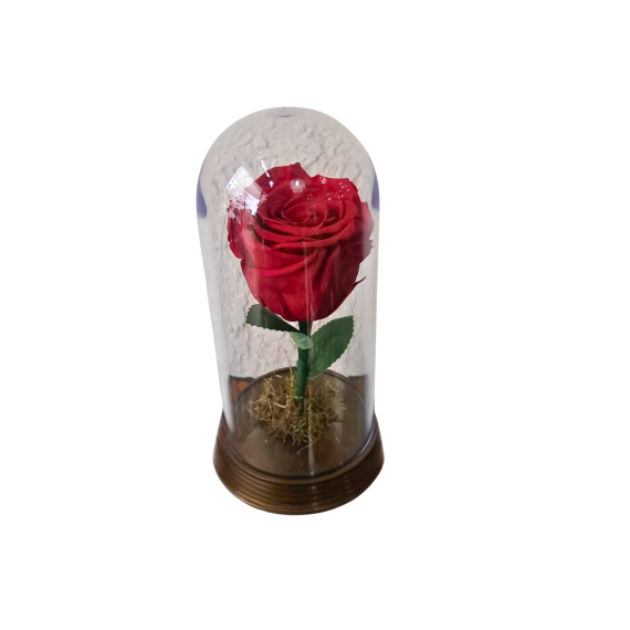 ROSA ENCANTADA- VERMELHA 