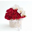 Amor e Orquídea- 50 ROSAS