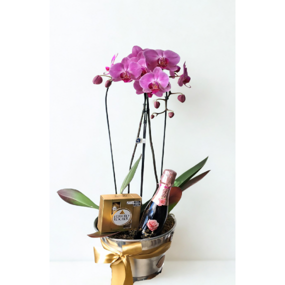 ORQUÍDEA HAPPY HOUR