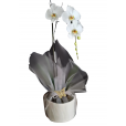 ORQUÍDEA CASCATA PREMIUM