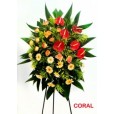 COROA CORAL