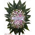 COROA  PINK  P