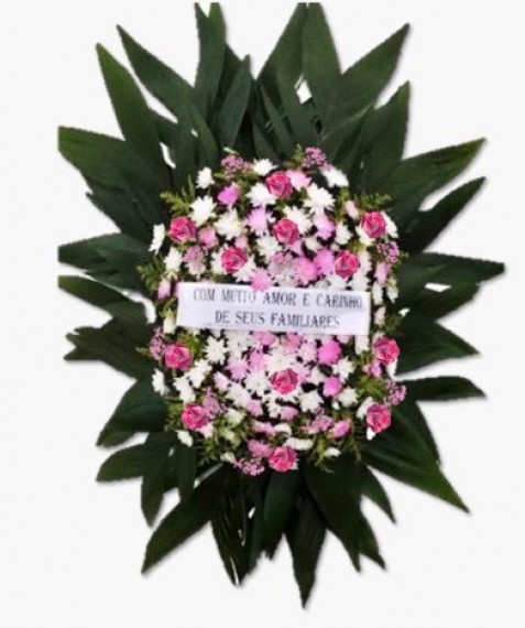 COROA  PINK  M