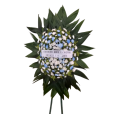 COROA  BLUE  P