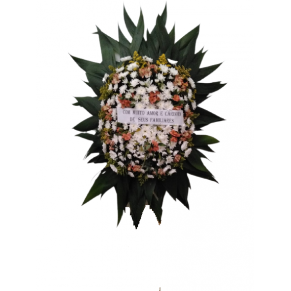 Coroa 01