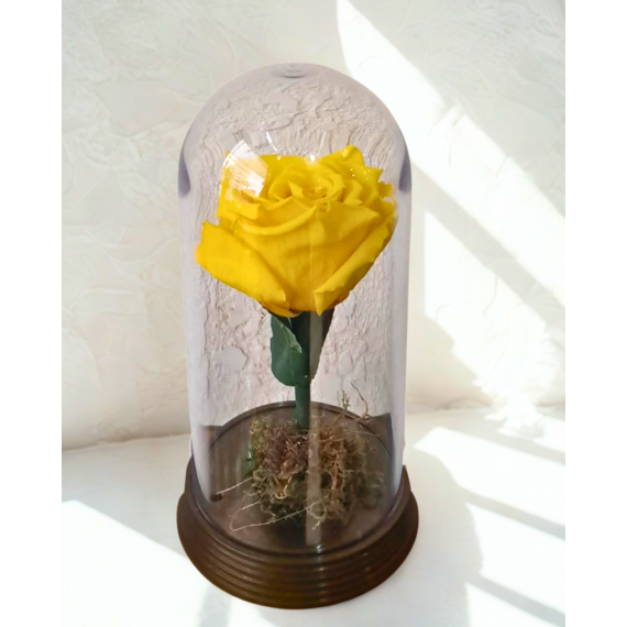 ROSA ENCANTADA- AMARELA 