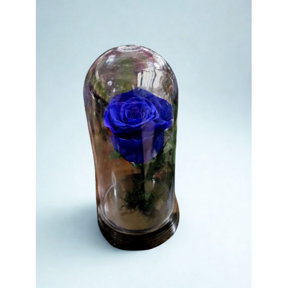 ROSA ENCANTADA- AZUL