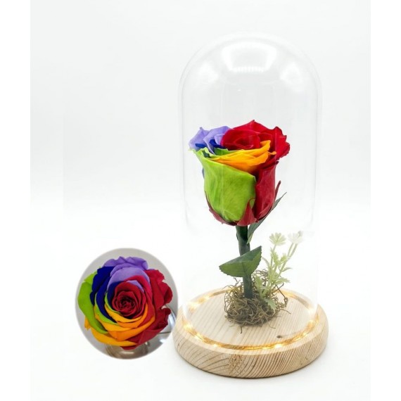 ROSA ENCANTADA- ARCO IRIS CÚPULA DE VIDRO COM LUZ DE FADA EMBUTIDA 