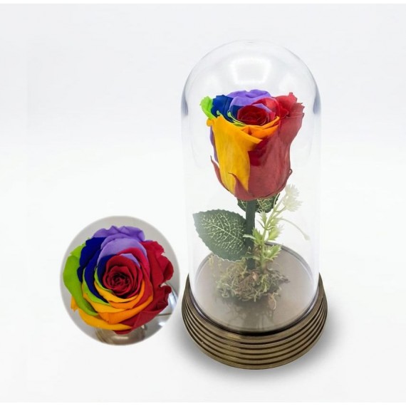 ROSA ENCANTADA- ARCO IRIS