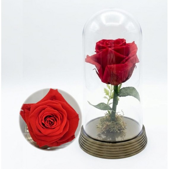 ROSA ENCANTADA- VERMELHA 