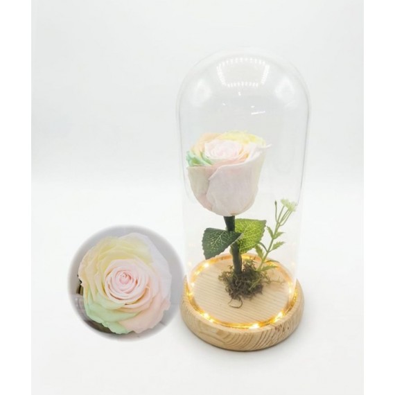 ROSA ENCANTADA- ARCO IRIS PASTEL  CÚPULA DE VIDRO COM LUZ DE FADA EMBUTIDA 