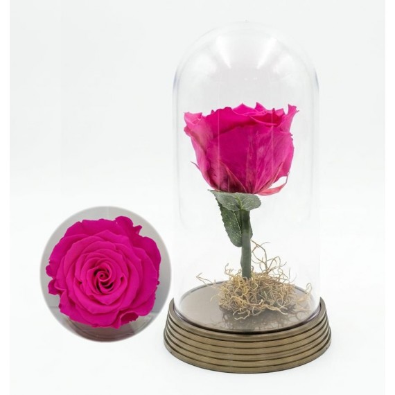 ROSA ENCANTADA-PINK