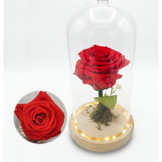 ROSA ENCANTADA- VERMELHA  CÚPULA DE VIDRO COM LUZ DE FADA EMBUTIDA 