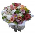 Box Primavera 