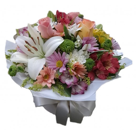 Box Primavera 