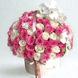 Delicatesse- 100 ROSAS 