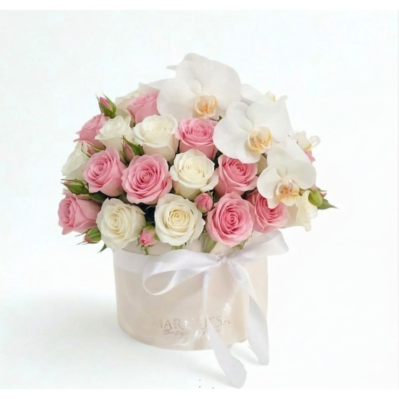 Delicatesse- 25 ROSAS