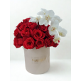 Amor e Orquídea
