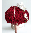 Amor e Orquídea