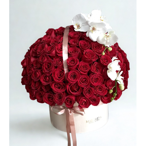 Amor e Orquídea