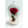 ROSA ENCANTADA- VERMELHA  CÚPULA DE VIDRO COM LUZ DE FADA EMBUTIDA 