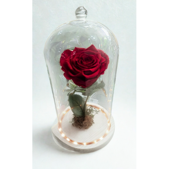 ROSA ENCANTADA- VERMELHA  CÚPULA DE VIDRO COM LUZ DE FADA EMBUTIDA 