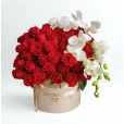 Amor e Orquídea