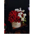 Amor e Orquídea