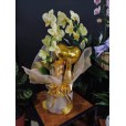 Orquídea  Chic