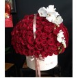 Amor e Orquídea