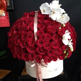 Amor e Orquídea