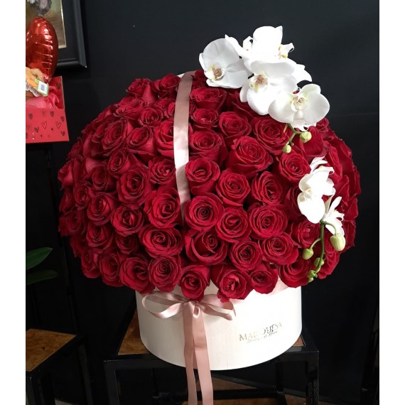 Amor e Orquídea