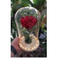 ROSA ENCANTADA- VERMELHA  CÚPULA DE VIDRO COM LUZ DE FADA EMBUTIDA 