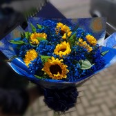 Girassóis e Van Gogh