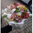 Box Primavera 