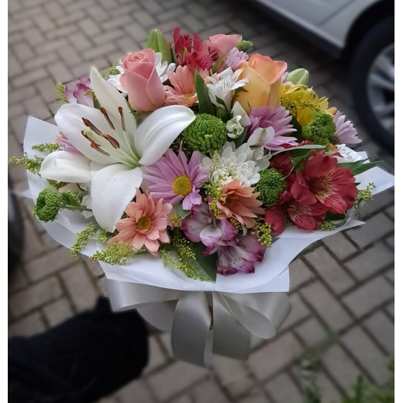Box Primavera 