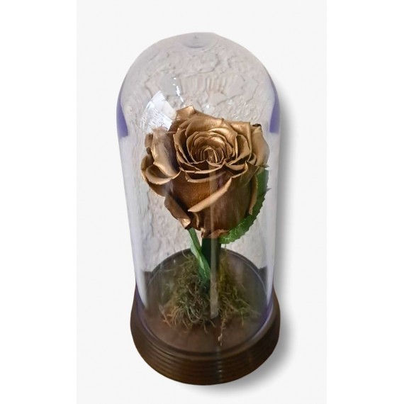 ROSA ENCANTADA- DOURADA 