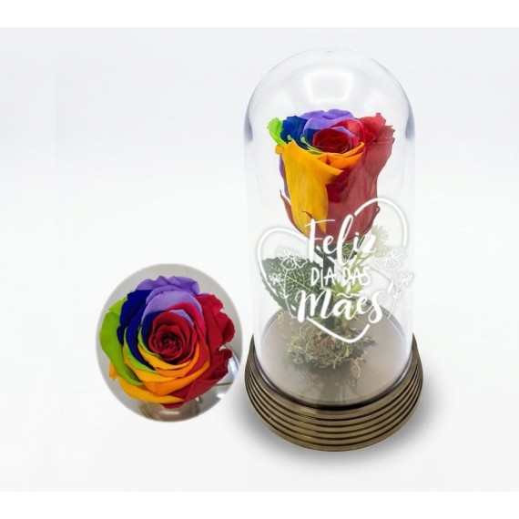 ROSA ENCANTADA- ARCO IRIS  - DIA DAS MÃES